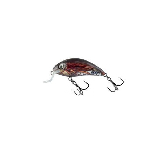 Salmo Rattlin Hornet Shallow RLC 3,5cm